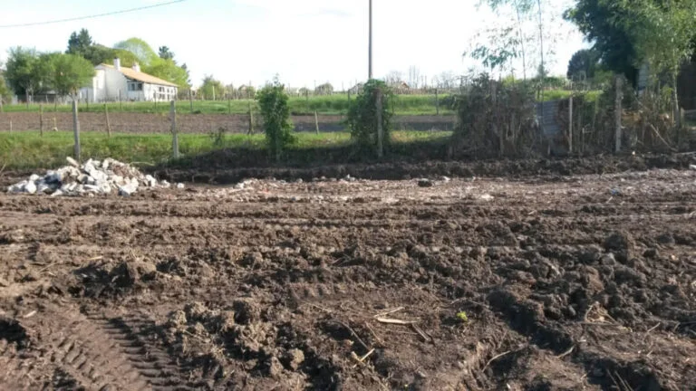 Groundworks Day 6