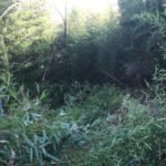 Groundworks – 9th & 10th April 2019