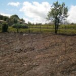 Groundworks – 19th & 25th April 2019