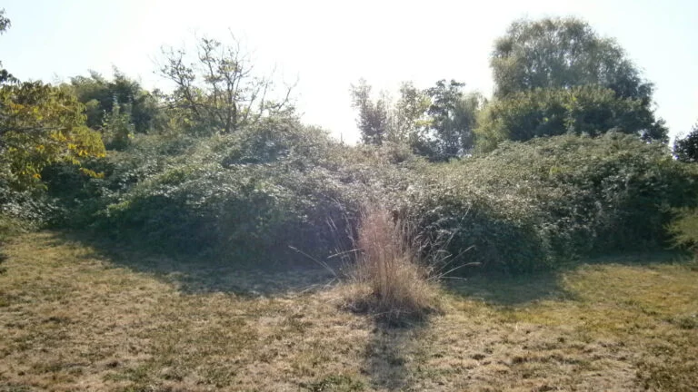 Land Gallery--3