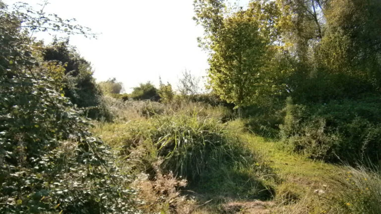 Land Gallery--4