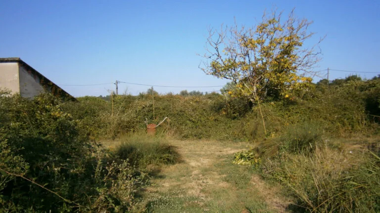 Land Gallery--6