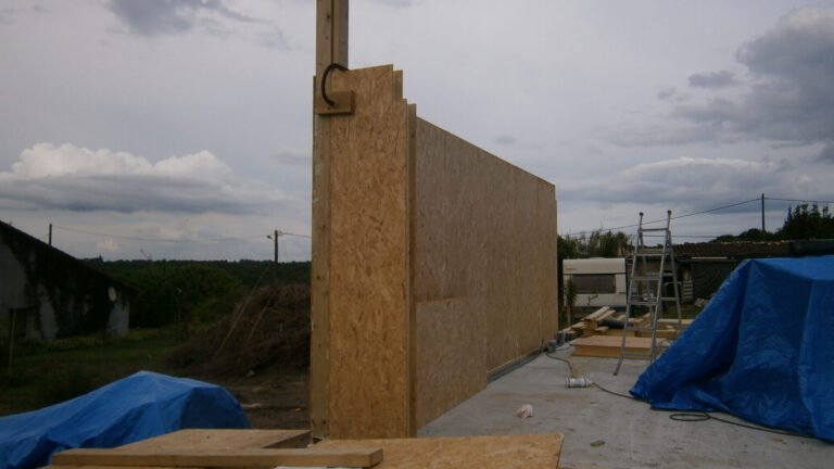 Build Day 5