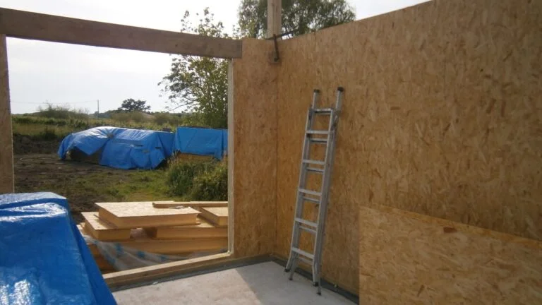 Build Day 7