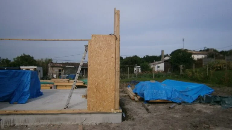 Build Day 7