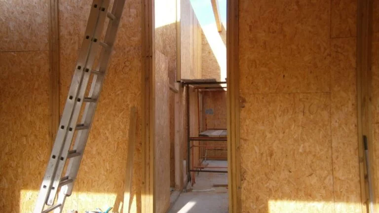 Build Day 24