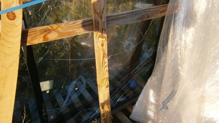 Patio Doors Weather Damage